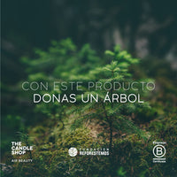 ESTOY PLANTANDO UN ÁRBOL