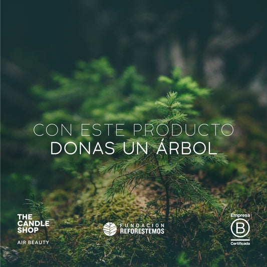 ESTOY PLANTANDO UN ÁRBOL