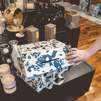 GIFT BOX FLOWER