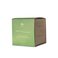 VELA XL OASIS X THE BODY