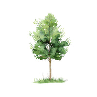 ESTOY PLANTANDO UN ÁRBOL_1