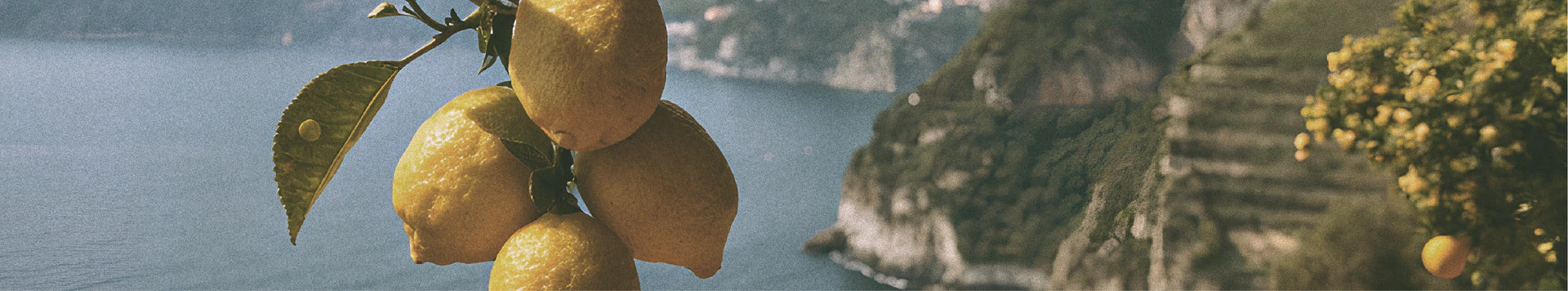 Main Banner