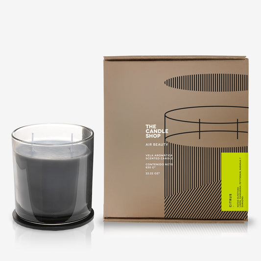 VELA GREY XL CITRUS_1