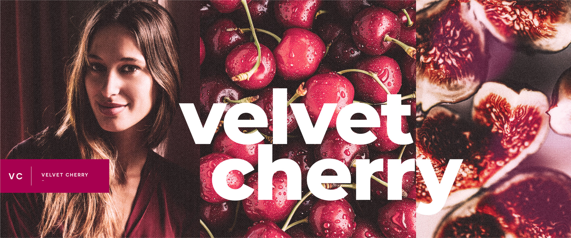 Main Banner Image